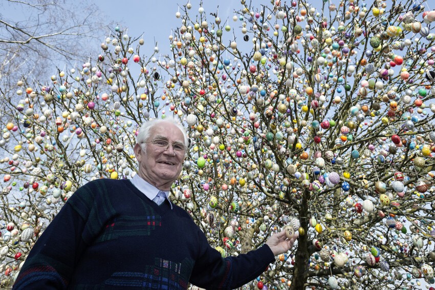 Пенсионер из Германии Фолкер Крафт и его яблоня, украшенная 10000 декоративных пасхальных яиц 