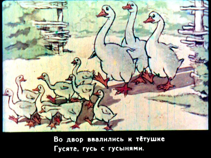 Диафильм "Гуси тётки Теклы" 1954 год