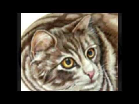 Кошки на камнях / The cats on stones / 