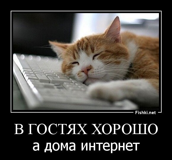 В гостях хорошо