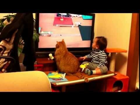  Малыш и кот смотрят телевизор 