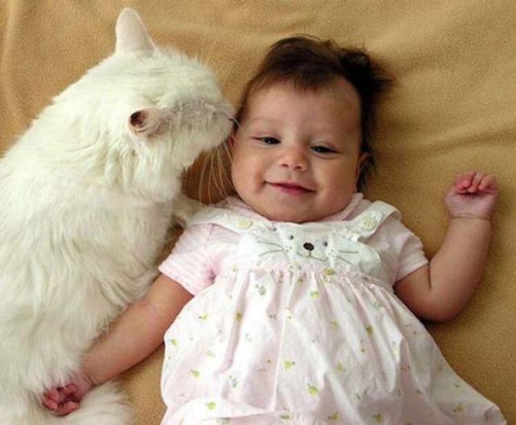 Очаровательные кошки и смешные дети (25 фото)