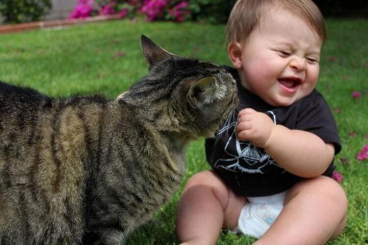 Очаровательные кошки и смешные дети (25 фото)