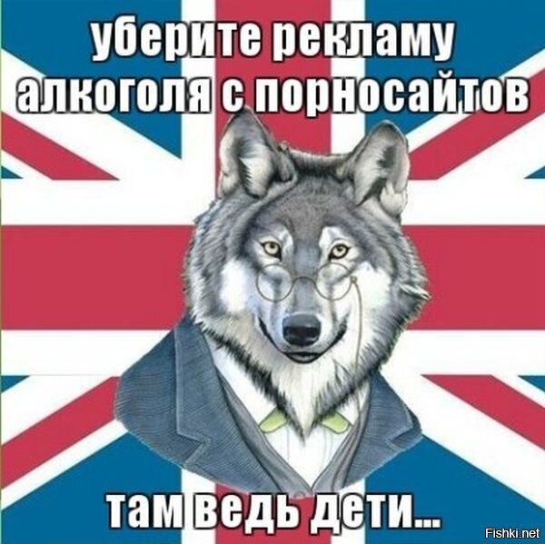 Из солянки