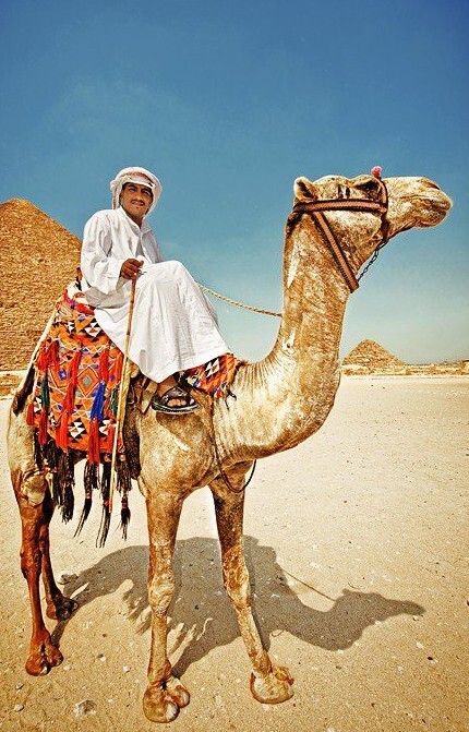 Забавные фото бедуинов