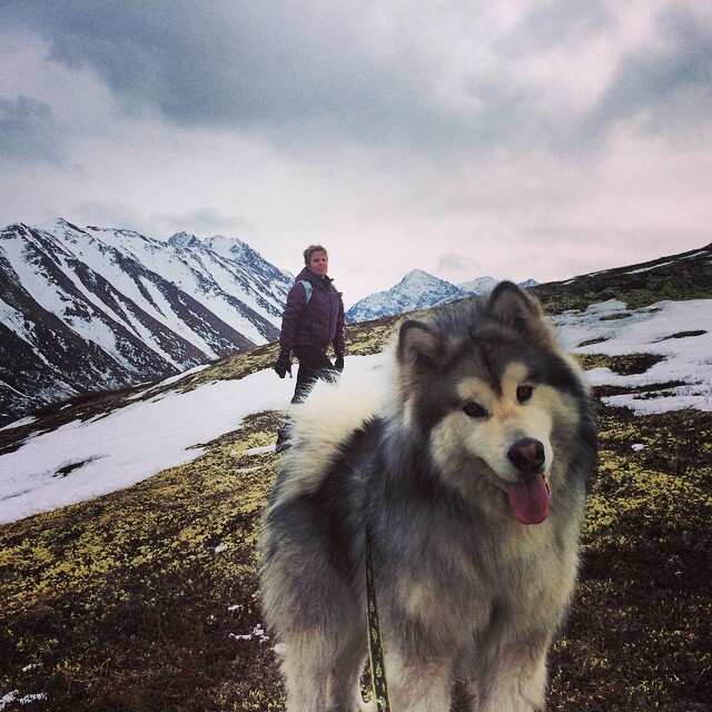 Аляска на фото в Instagram*  