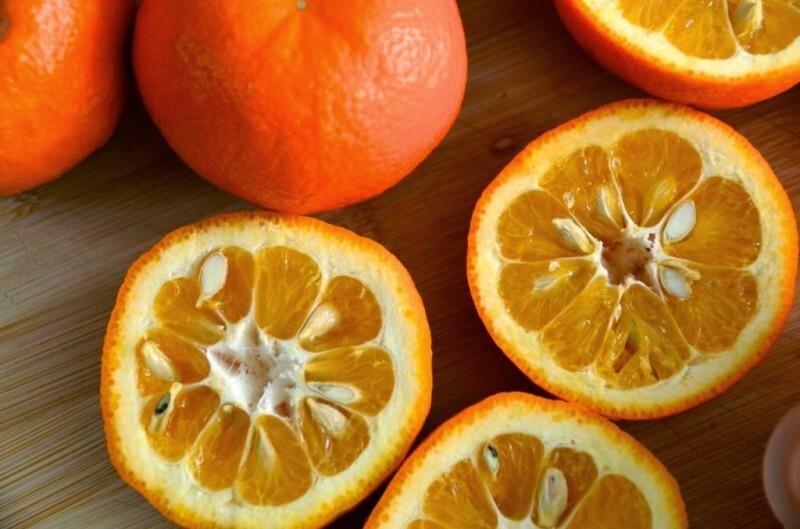 12. Ботаники относят плод апельсинового дерева к ягодам