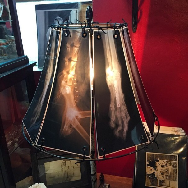 Лампы с абажурами из рентгеновских снимков животных
