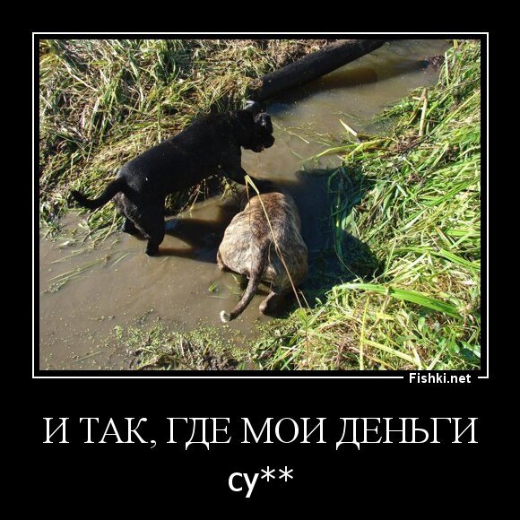И ТАК, ГДЕ МОИ ДЕНЬГИ