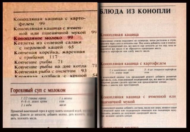 В ЭСТОНИИ БЫЛИ СОРВАНЫ СОВМЕСТНЫЕ ВОЕННЫЕ УЧЕНИЯ. 