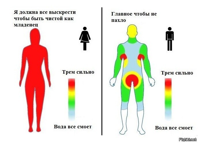 разница между мужчиной и женщиной