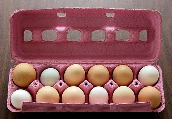 Смажь куриные яйца растительным маслом. Перед тем, как убрать их в холодильник — так они останутся свежими на три-четыре недели дольше.
