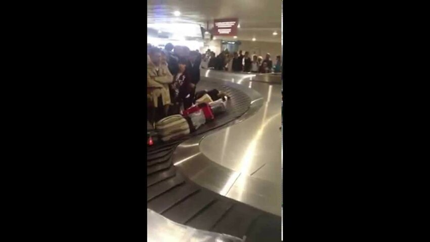 Странный багаж в аэропорту Домодедово 