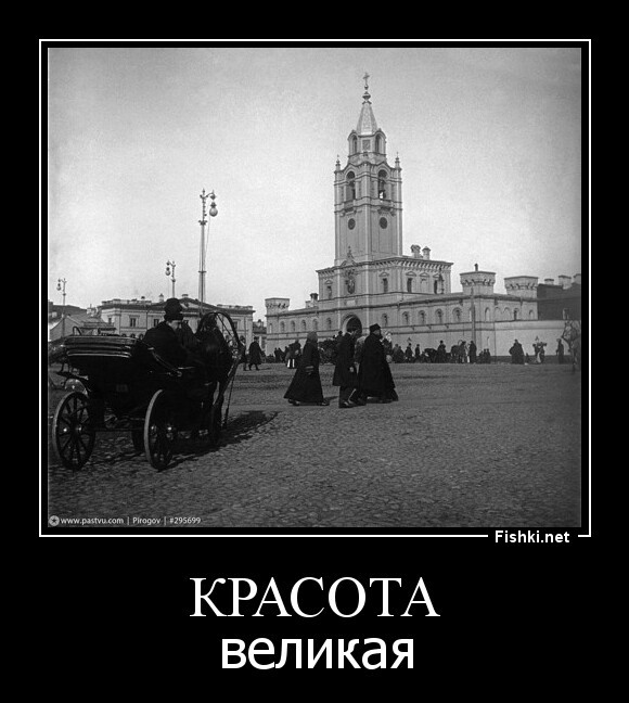 красота