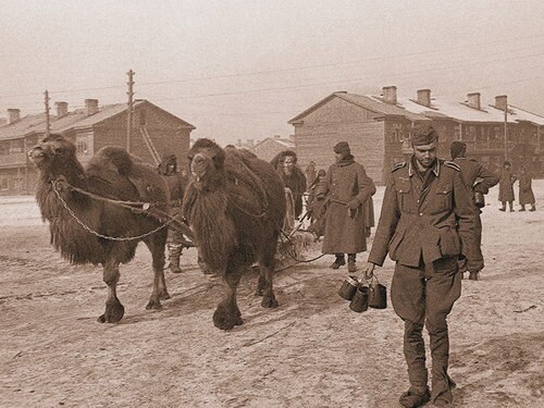 Смотреть и помнить