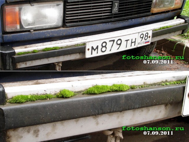 Автоприколы с питерских дорог 2