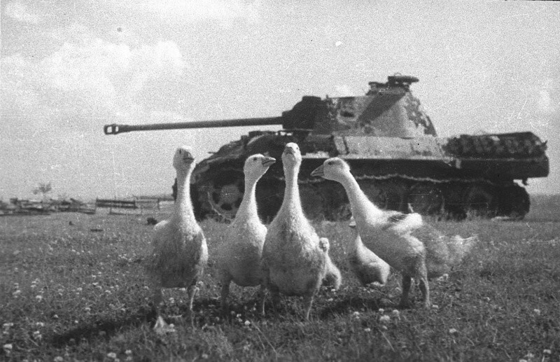 9 Мая посвящается