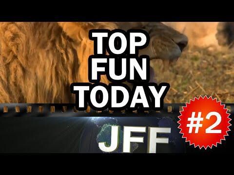 Top Fun Today - Ежедневная подборка видео приколов #2