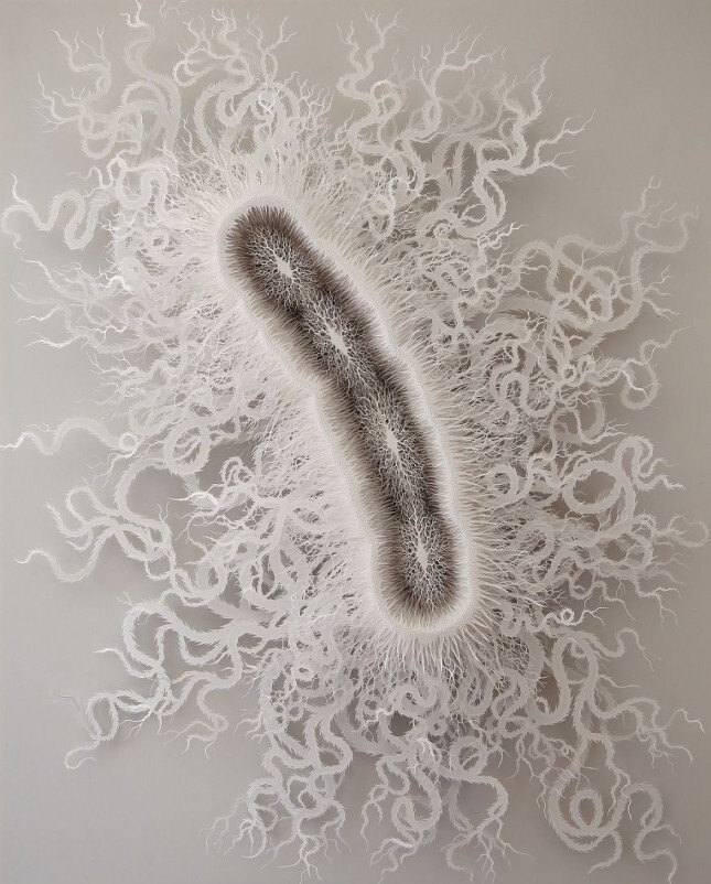 Бумажные микробы 