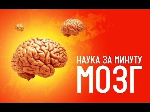 Мозг VS суперкомпьютер 