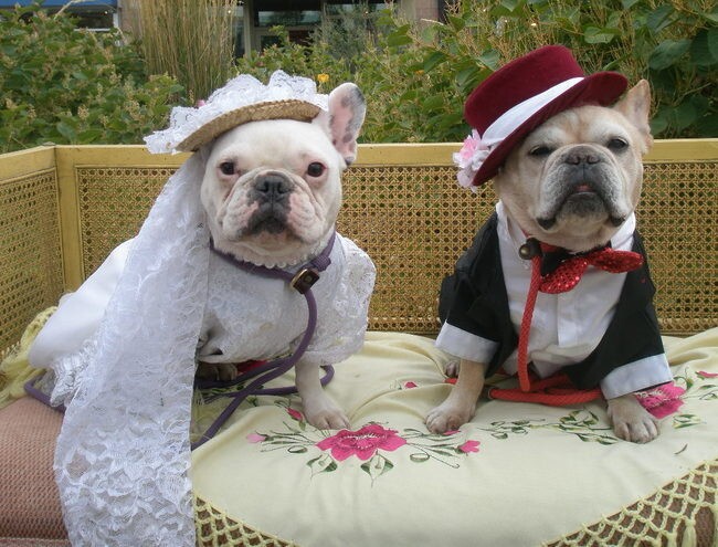 Эти двое воссоединились на Facebook*. Это их первая свадьба, которая расстроила все последующие свадьбы.