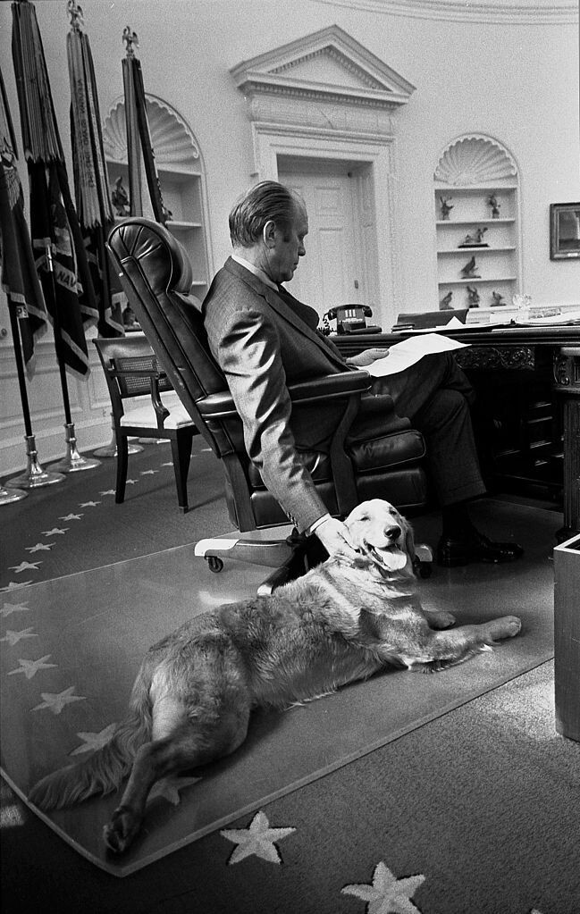 14. Джеральд Форд и его золотистый ретривер Либерти в Овальном кабинете. 1974 год.