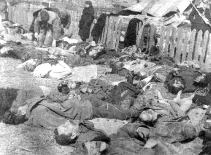 Тела убитых УПА поляков в селе Липники в Костопольскогоо района на Волыни, 26 марта 1943 (Фото Mark Skorupski / FORUM) 