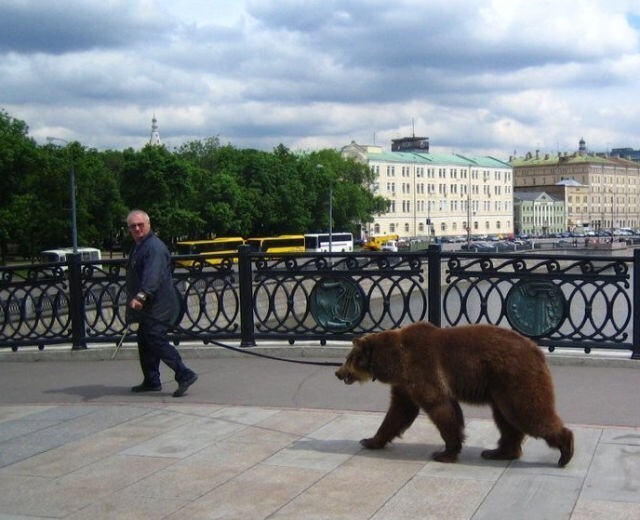 Все в порядке, вы в России