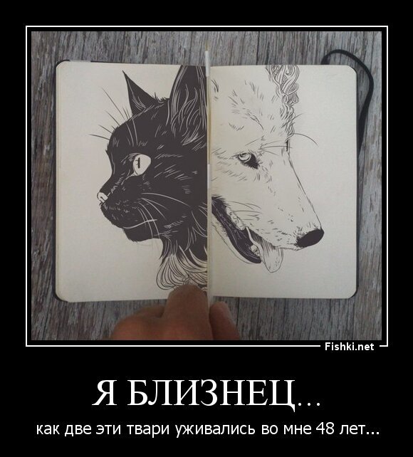 Я близнец...
