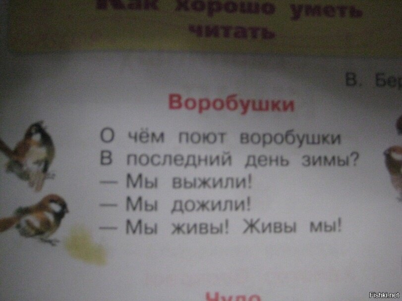 Из солянки