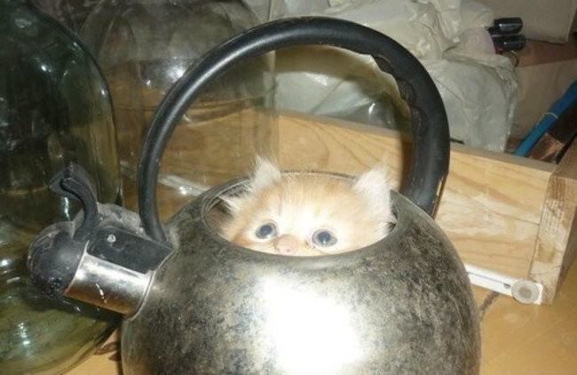 А чая нет.