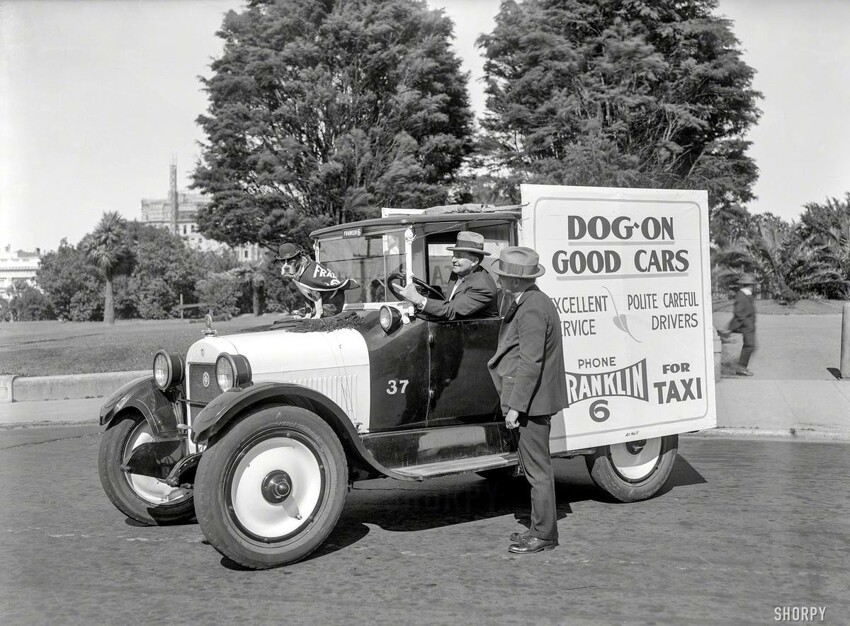Такси для перевозки собак (1924 год)