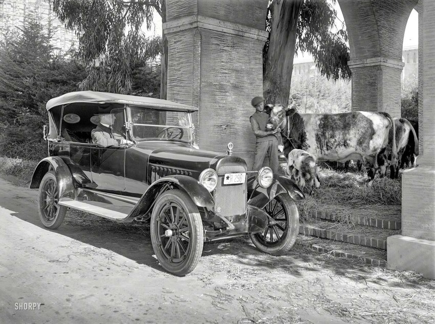 Калифорнийская идиллия (1919 год)