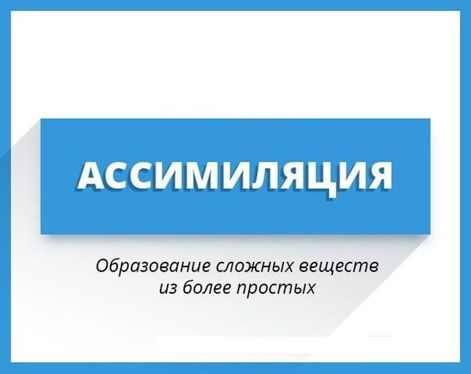 Увеличиваем словарный запас