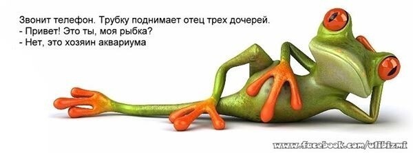 Приколы жабизма из фейсбука