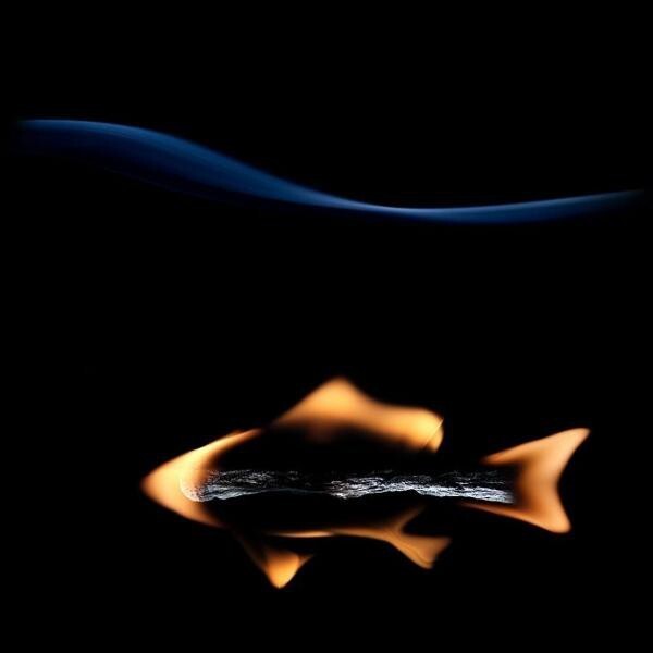 Использование огня придает особый эффект формам изображения. Кажется, что рыбка оживает, и мы видим, как двигаются ее плавники.