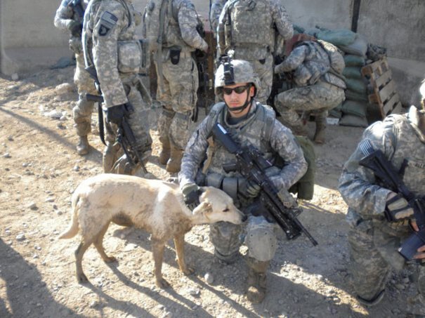 45. Солдат и его прирученная собака
