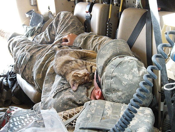 3. Бездомный котёнок спит на солдате. Афганистан, 2009 год