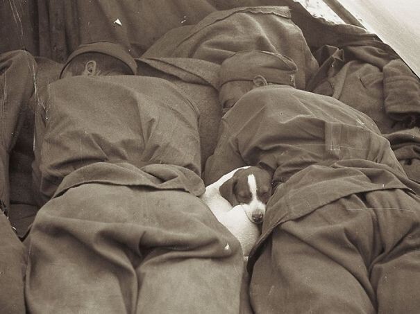 16. Русские солдаты во время Второй мировой войны, спящие со щенком