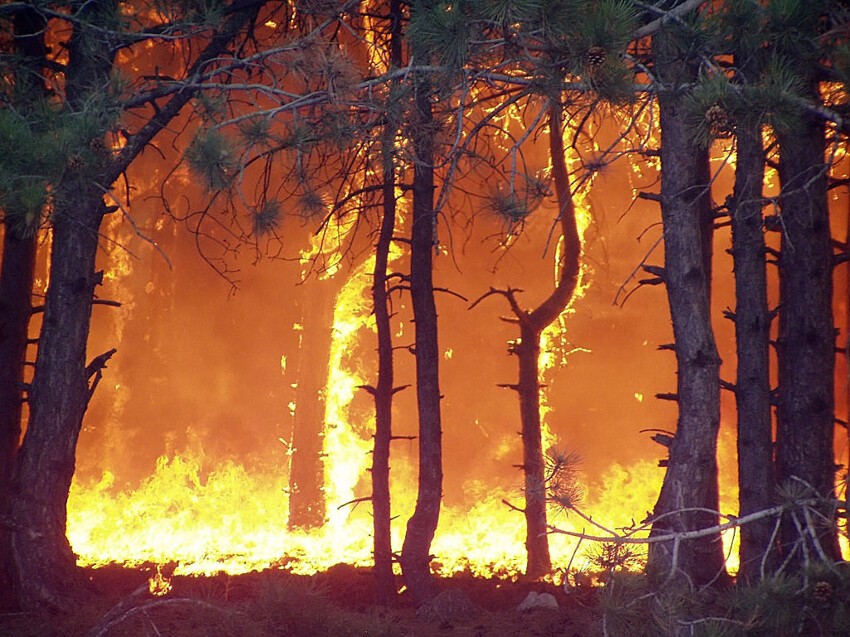 13.04.2015. ЗАБАЙКАЛЬЕ В ОГНЕ(продолжение ужаса)