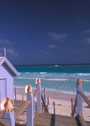 Розовый: Harbour Island, Багамы