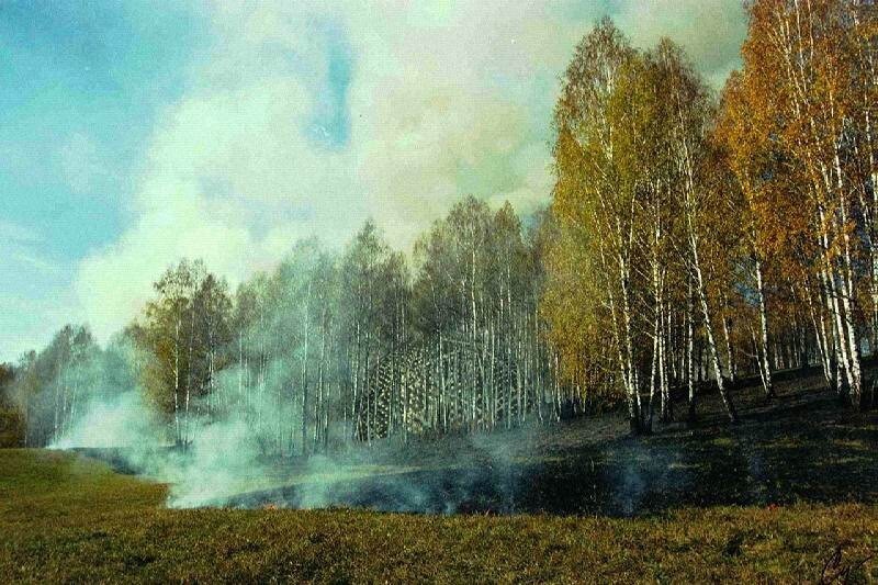 Снимки якобы были хакнуты с NASA сервера! 