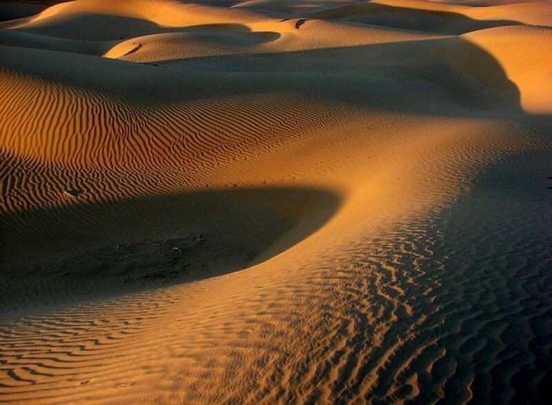 Пустыня Тар, Индия, Раджастан