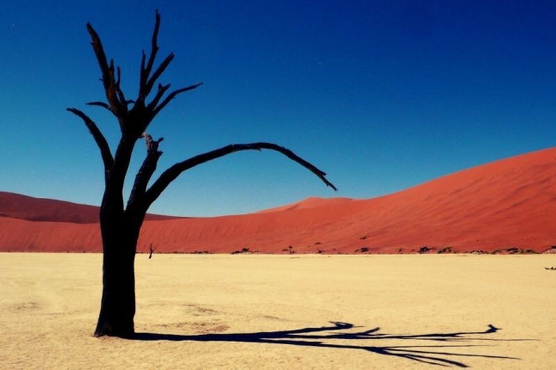 Пустыня Намиб в Намибии