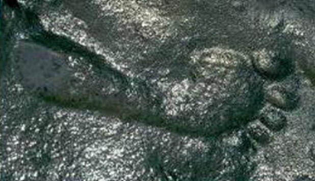 «Неудобная» археологическая находка: отпечаток человеческой ноги возра