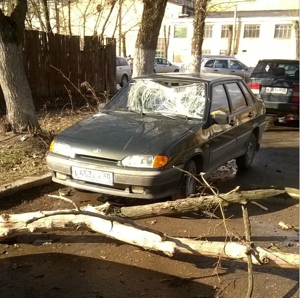 Ещё одно дерево упало на машину калужанина: