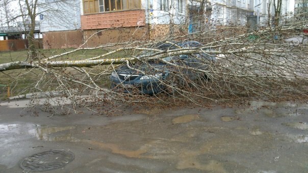 а улице Малоярославецкой дерево упало на припаркованный автомобиль. По сообщению очевидцев, пострадал водитель. Его увезли на «скорой».