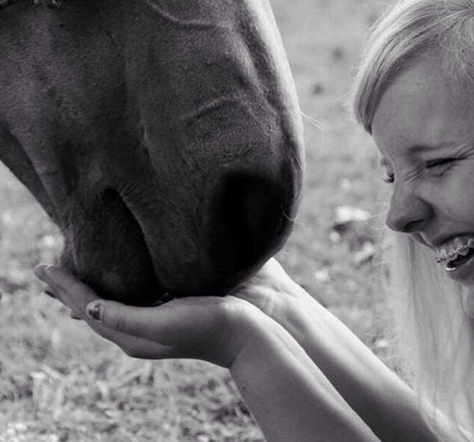 4. Девушка первый раз видит лошадь вживую.