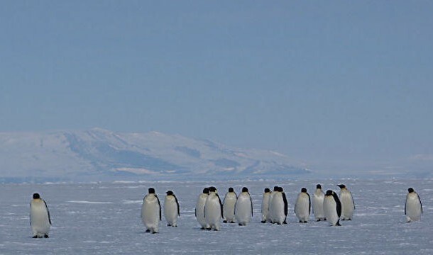17. О существовании Антарктиды было абсолютно неизвестно до 28 января 1820, то есть пока континент не был открыт