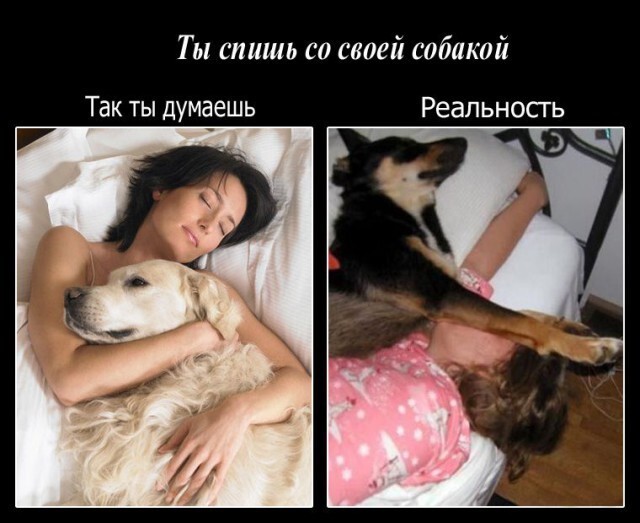 Я сплю